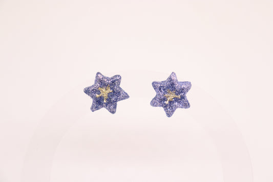 Blauwe ster studs