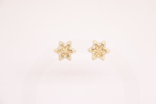 Beige ster studs